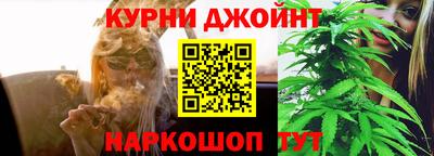 спиды Моздок