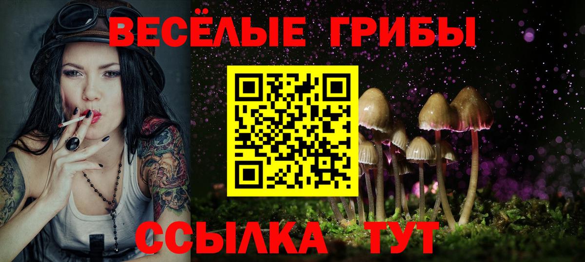 Псилоцибиновые грибы Psilocybe Волхов