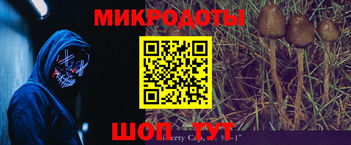 Волхов  Псилоцибиновые грибы Cubensis  Псилоцибиновые грибы Cubensis  Вход с VPN 